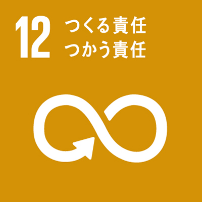 SDGs重点課題