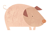 4つのプロジェクト