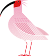 4つのプロジェクト