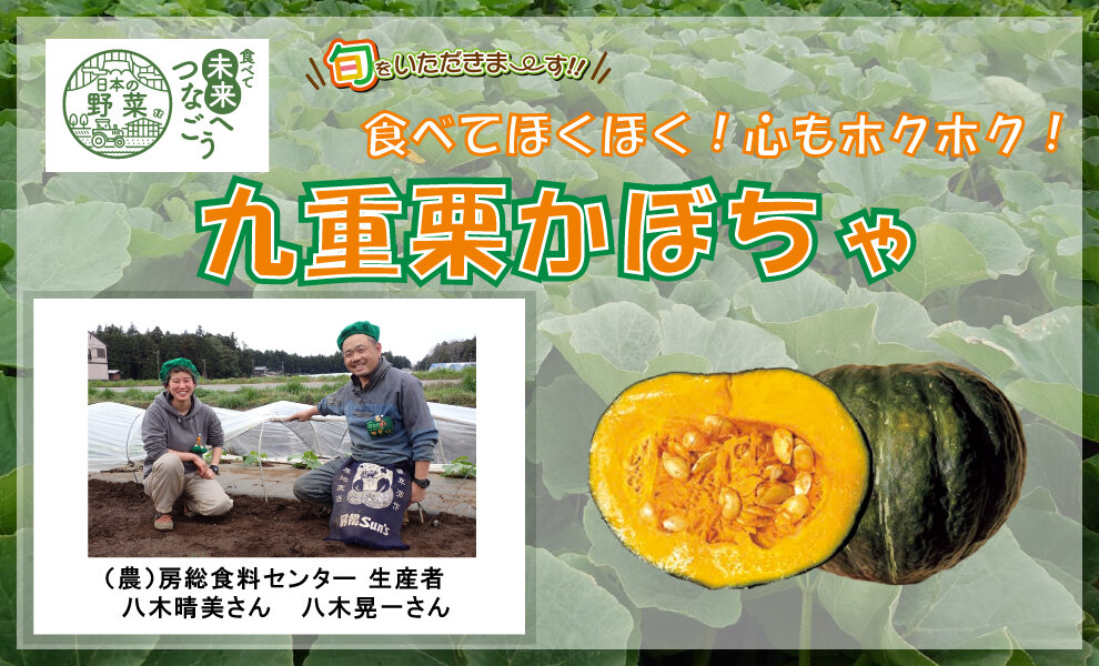【食育】　千葉県の生産者が育てた自慢の野菜を紹介!九重栗かぼちゃ