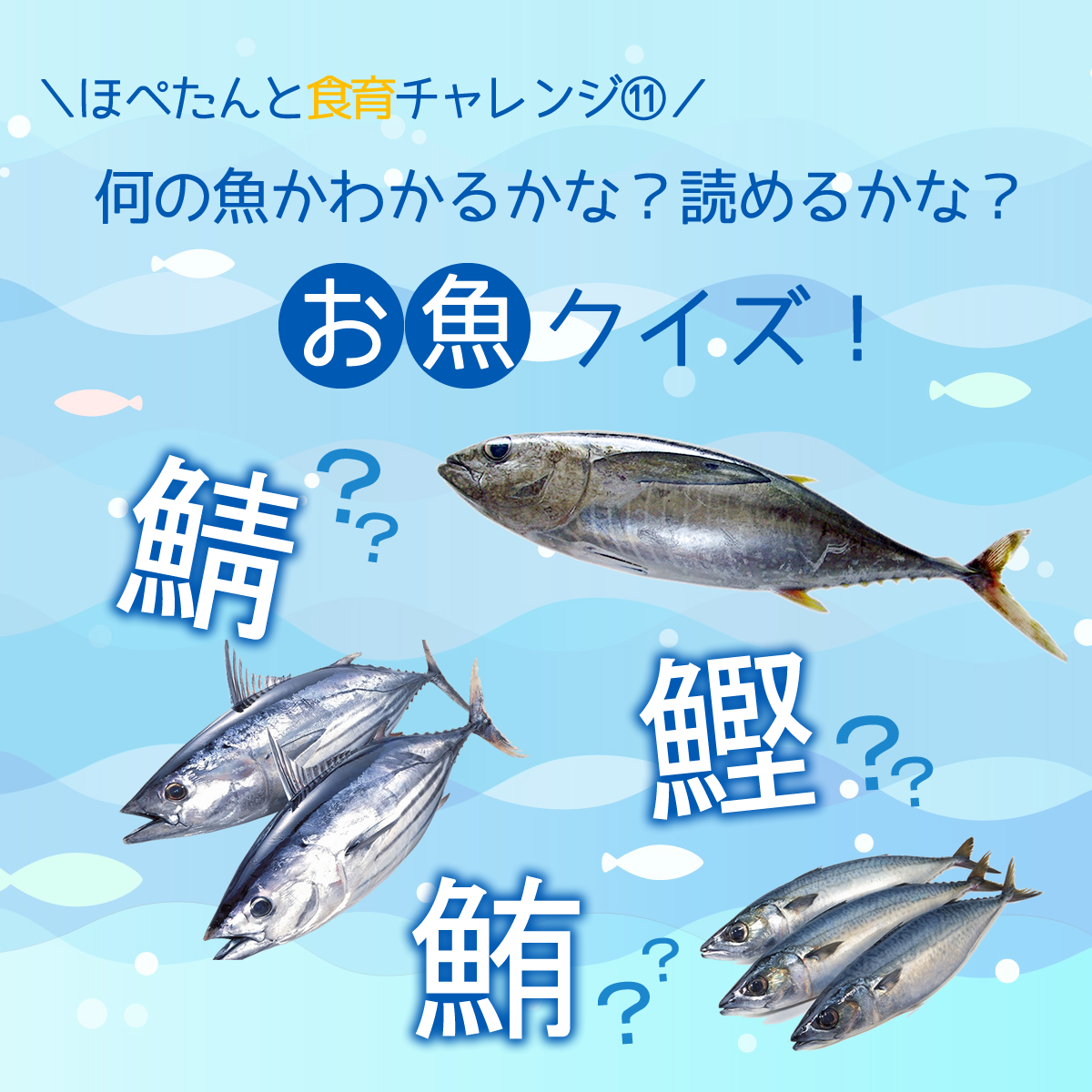 ほぺたんと食育チャレンジ 11 お魚クイズ コープデリグループのサステナビリティサイト コープデリ連合会