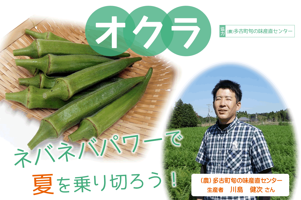 【食育】千葉県の生産者が育てたおいしい野菜を食べよう（３）オクラ