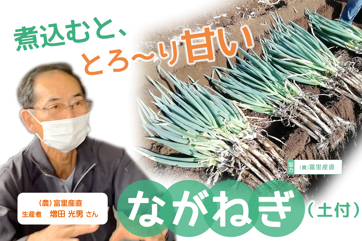 【食育】千葉県の生産者が育てたおいしい野菜を食べよう（４）ながねぎ（土付）