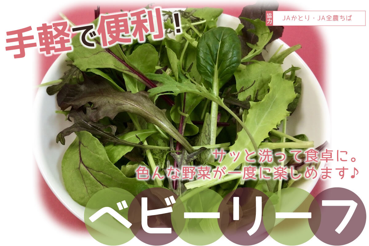 【食育】千葉県の生産者が育てたおいしい野菜を食べよう（７）ベビーリーフ
