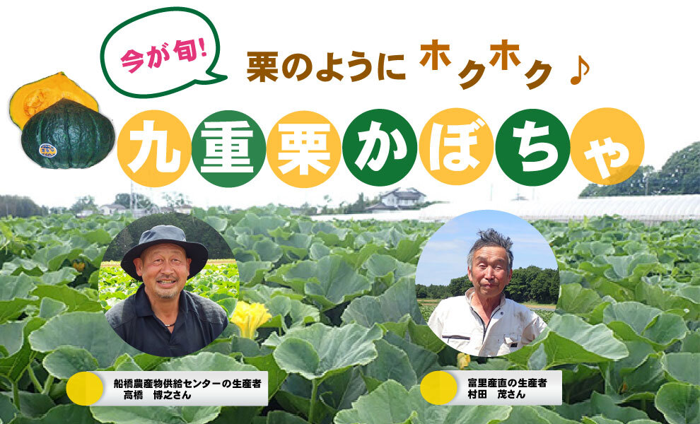 【食育】　千葉県の生産者が育てた自慢の野菜を紹介!（3）九重栗かぼちゃ