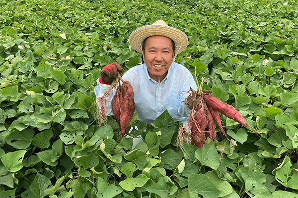 （農）佐原農産物供給センターの生産者　椎名泰央さんの写真
