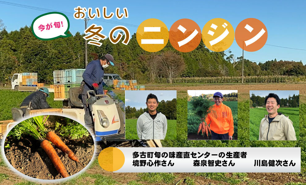 千葉県の生産者が育てた自慢の野菜を紹介!（6）ニンジン