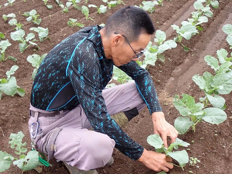 畑を見回る松山 新さんの写真