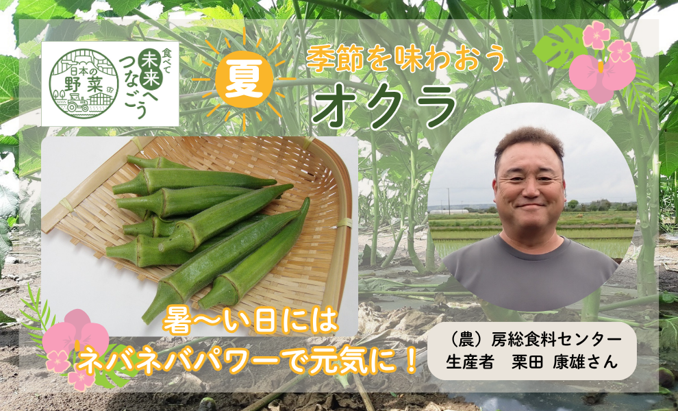 【食育】千葉県の生産者が育てた自慢の野菜を紹介!「オクラ」