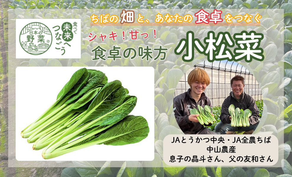 【食育】千葉県の生産者が育てた自慢の野菜を紹介！小松菜