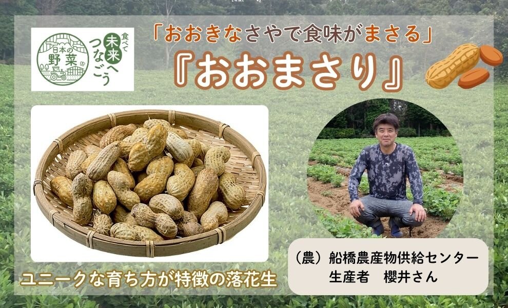 【食育】 千葉県の生産者が育てた自慢の野菜を紹介!生落花生