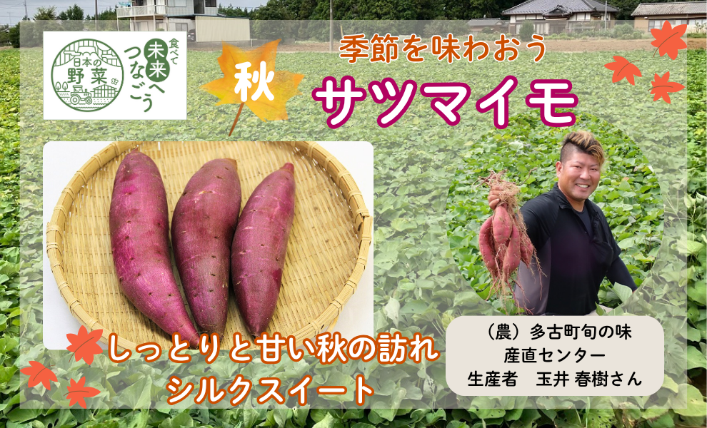 【食育】千葉県の生産者が育てた自慢の野菜を紹介！サツマイモ