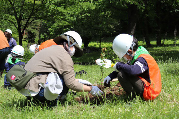 植樹の様子