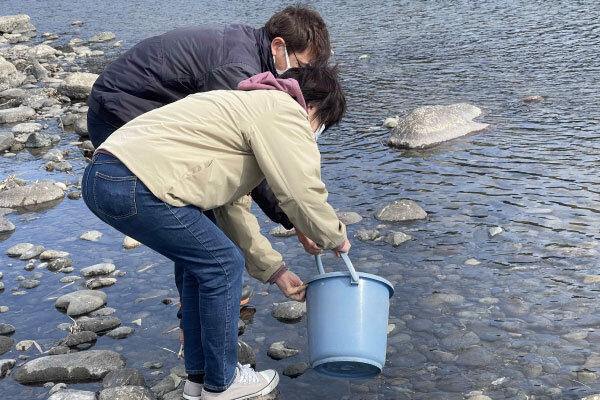 稚魚を利根川へ放流する様子