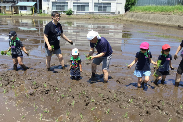 お米づくり体験(田植え)の様子