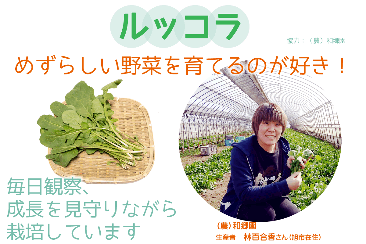 食育 千葉県の生産者が育てたおいしい野菜を食べよう 1 ルッコラ ニラ コープデリグループのサステナビリティサイト コープデリ連合会