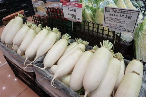 当時店頭販売した野菜（ミニ大根）