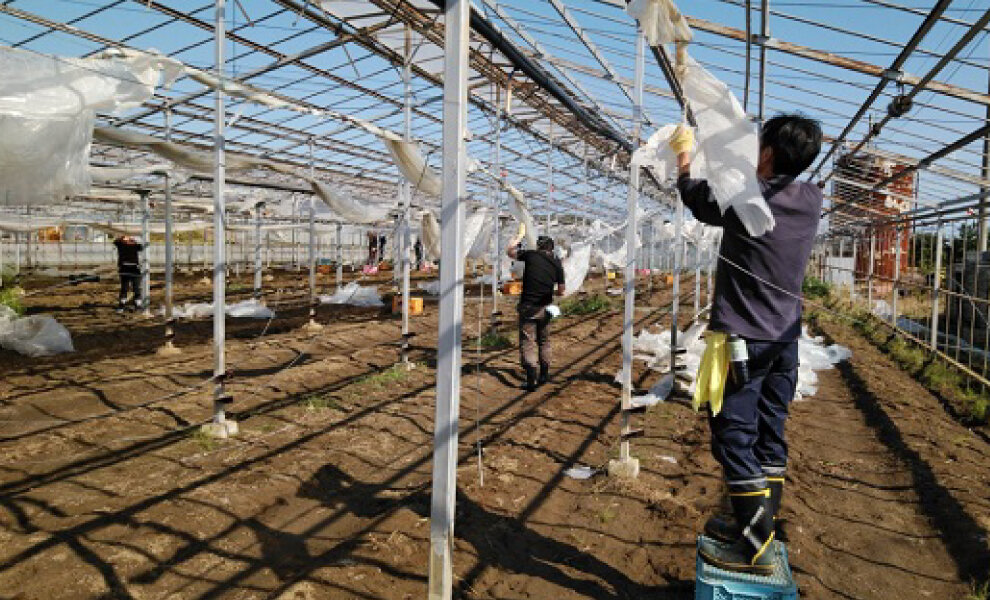 【コープデリグループの災害復興支援】令和元年房総半島台風（台風15号）、令和元年東日本台風（台風19号）