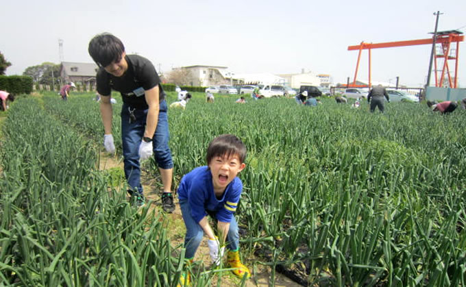 草取りの様子