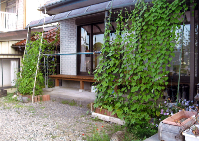 S・Iさん(那須烏山市)のグリーンカーテン写真