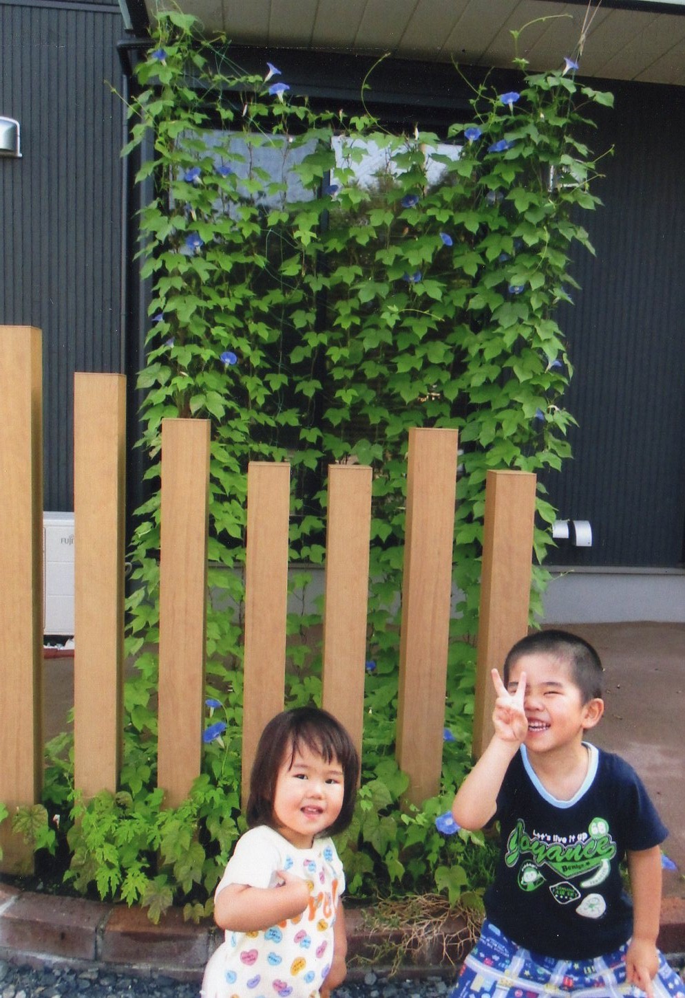 まなみせんせい さん(さくら市)のグリーンカーテン写真
