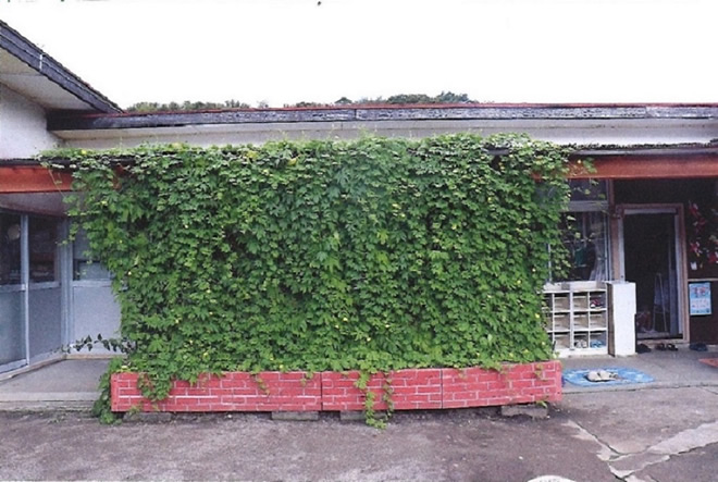 グリーンカーテン写真イメージ