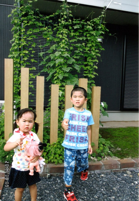 いちごちゃんさん(さくら市)のグリーンカーテン写真