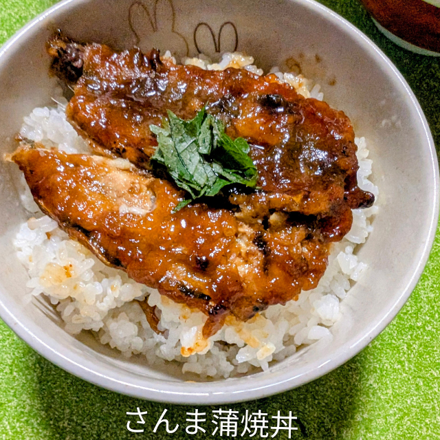 投稿された推し丼の写真