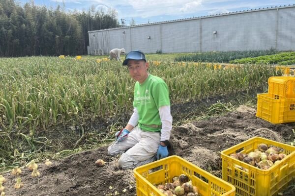 紀ノ川農業協同組合　生産者　西野さん