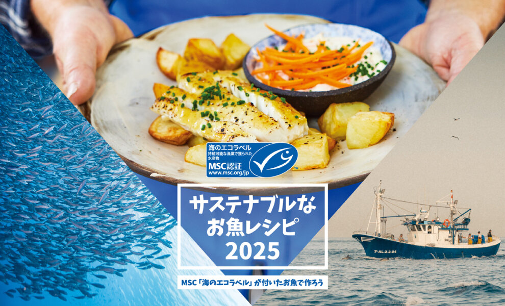 MSCが「サステナブルなお魚レシピ 2025」キャンペーンを開催中