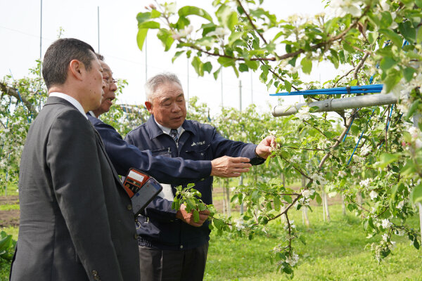 天内組合長からりんご栽培について説明を受ける様子