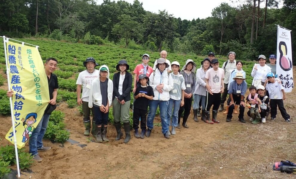 やさいの楽校(がっこう)in船橋農産物供給センター 「落花生の魅力」を味わう連続企画2回目を開催しました