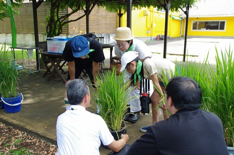 参加者の様子