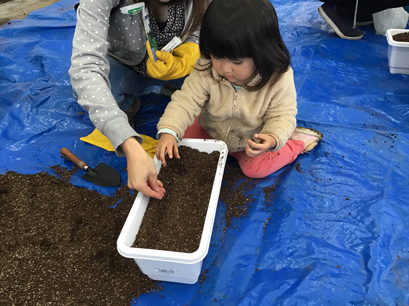 種まきの様子様子