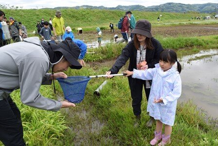 生きもの調査の様子