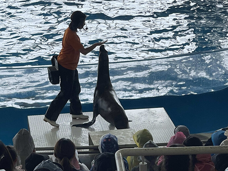 水族館を見学する様子