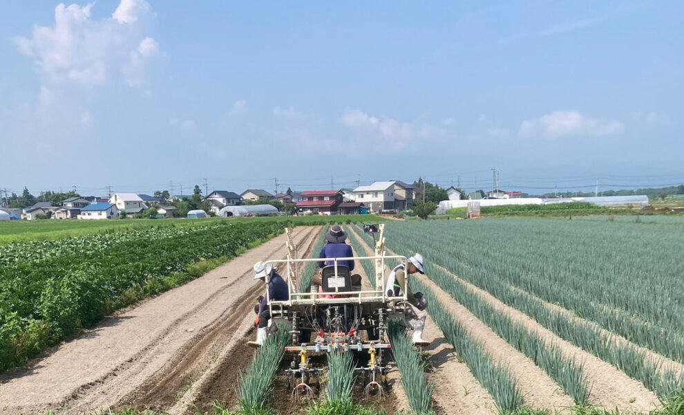 【食べて未来へつなごう】有機野菜～あいづ有機農法生産組合（ムキねぎ）～