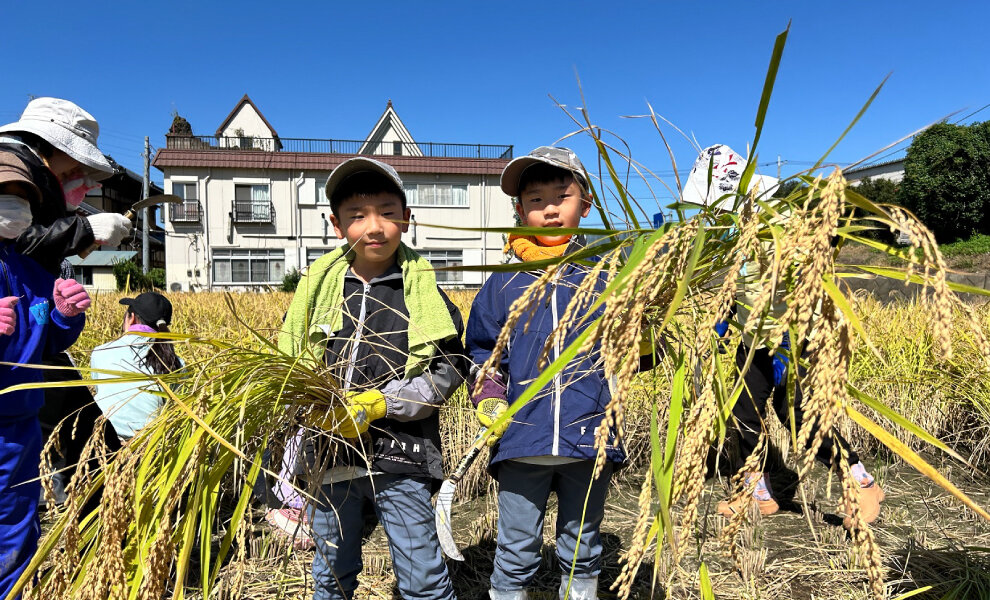 2025年度 下田農園お米作り体験（稲刈り）を開催しました