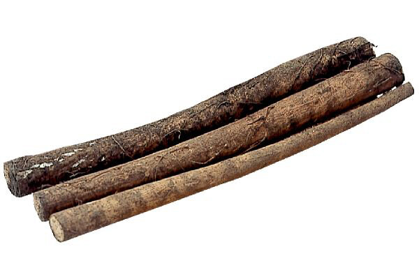 生しいたけ（菌床栽培・有機栽培）