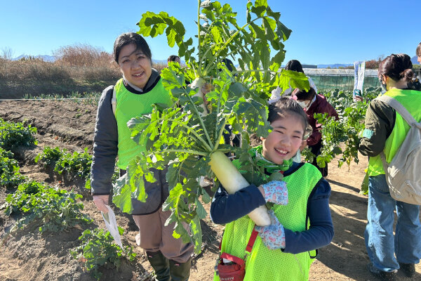 収穫した大根の写真