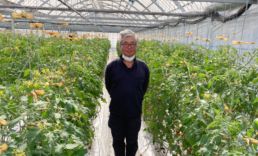 【食べて未来へつなごう】有機農産物～有限会社大地と自然の恵み（根しょうが）～