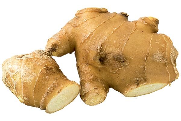 根しょうが（有機栽培）