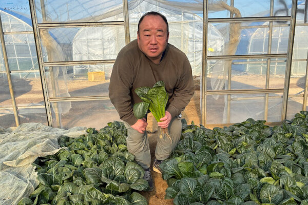 有限会社北総ベジタブル　代表取締役　平山さん