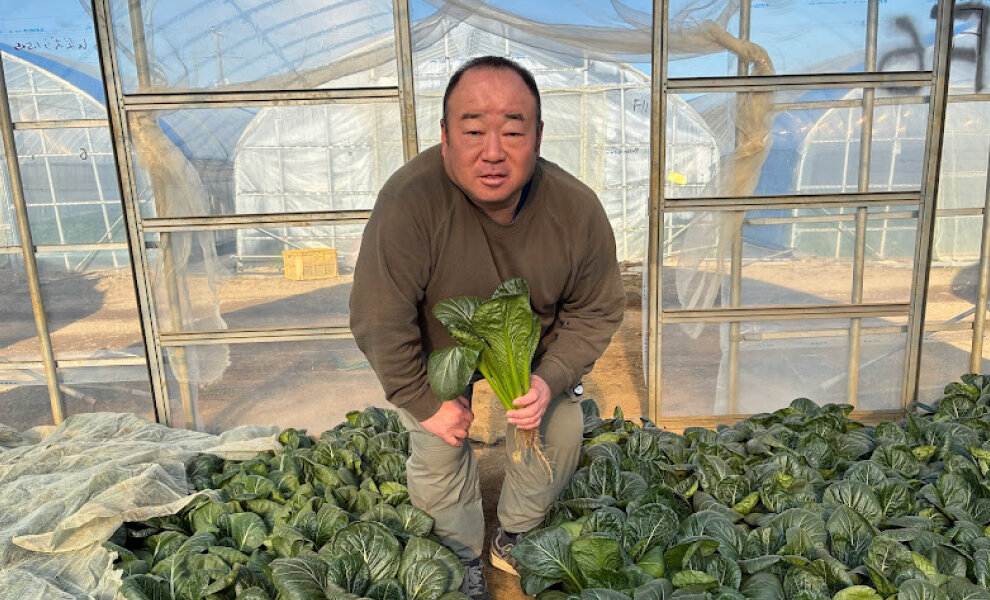 【食べて未来へつなごう】有機農産物～有限会社北総ベジタブル（小松菜）～
