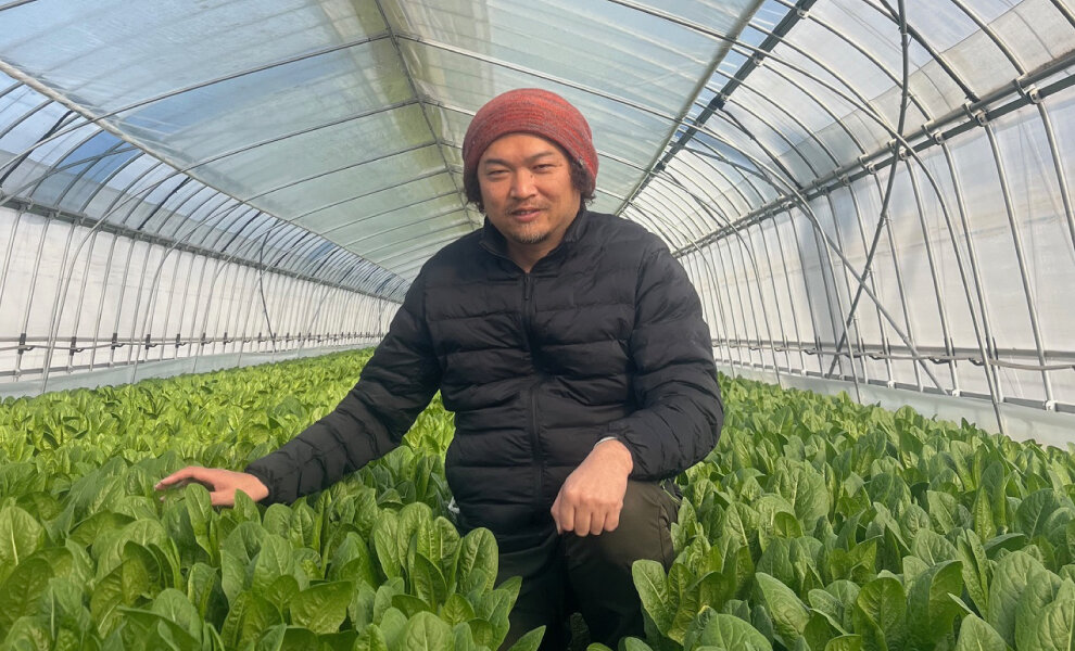 【食べて未来へつなごう】有機農産物～株式会社ふしちゃん（ロメインレタス）～