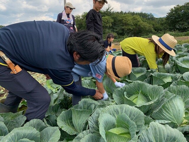 収穫する参加者の様子