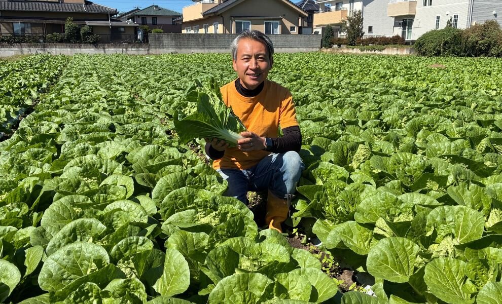 【食べて未来へつなごう】有機農産物～佐久ネクスト（ベビー白菜）～