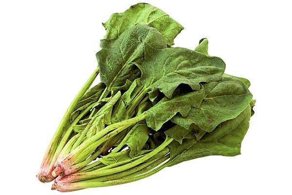 ほうれん草（有機栽培）