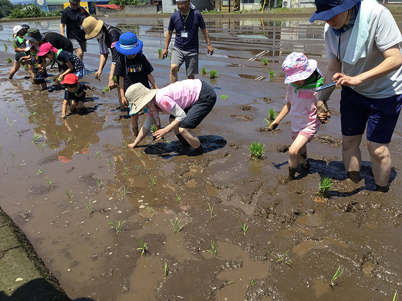 2024年度 下田農園「お米づくり体験（田植え）」を開催しました