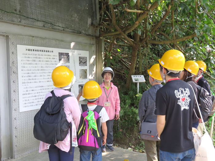 陸軍病院南風原壕群の20号の前で説明を聞いている様子